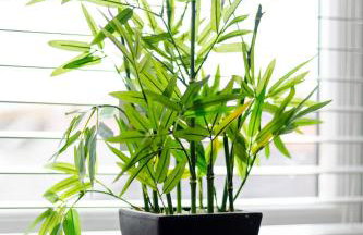 Bespoke Apartments Near Cardiff City Centre Free Parking - Foto 46