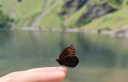 Milky Way - Appartement en bas des pistes du Mourtis - Foto 33