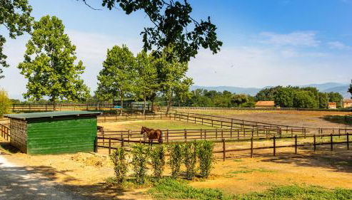 Villa Elisa 16 in Fucecchio - Foto 4