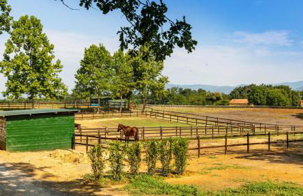 Villa Elisa 16 in Fucecchio - Foto 4