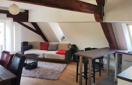 Apartment Pegnitzmühle mit Pegnitzinsel - Foto 23