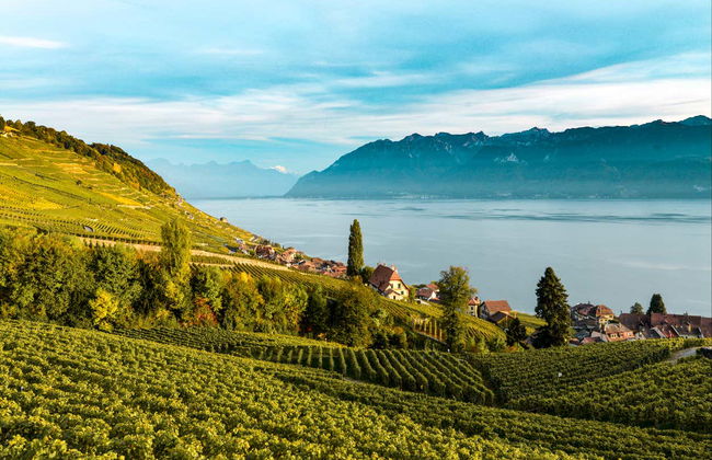 Excursion à Montreux - Photo 6