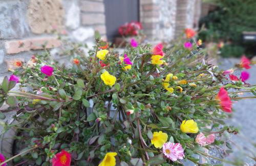 Agriturismo Bandinacci - Foto 11