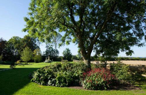 Kiekutsland - Foto 13