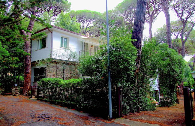 Charm in Castagneto Carducci - Photo 27