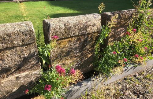 Barrierefreie Ferienwohnungen am Wasserturm Landau - Südpfalz - Foto 53
