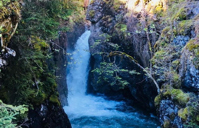 Bergheim Waeldele - Foto 48