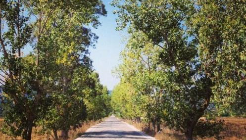 Angelina's Family Home - Foto 4