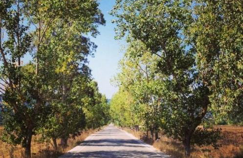 Angelina's Family Home - Foto 4