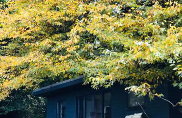 Farm woodland riverview cabin bbq firepit pet friendly - Foto 58