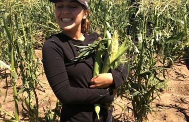 Studio Cabin Suite on Organic Farm Stay near Taos, New Mexico - Foto 49