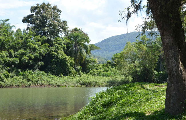 Kayak on Três Forquilhas River - Photo 7