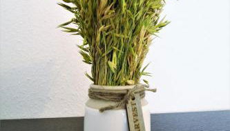 Work and Stay Apartment Centrum - Foto 4