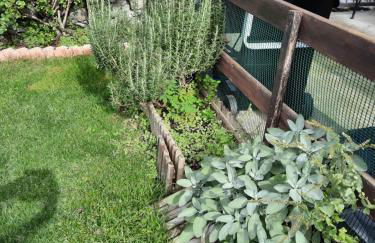 il Battito - Foto 34