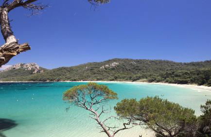 Le Limoni - Climatisé avec Patio privatif - Foto 24