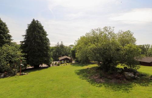 Thistle Dubh "Doo" - Foto 32