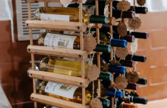 Casa con jardin para familias y grupos - Photo 20