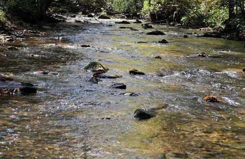 A River Runs Through It - Foto 40