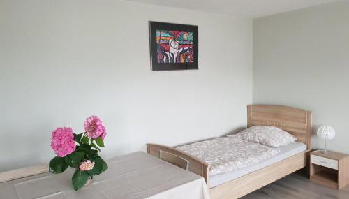 Mainzimmer Business Appartment - Monteurwohnung mit Burgblick - Foto 3