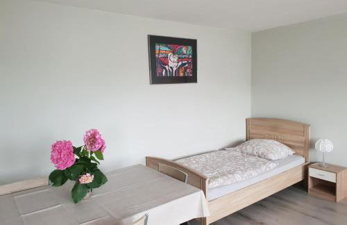 Mainzimmer Business Appartment - Monteurwohnung mit Burgblick - Foto 3