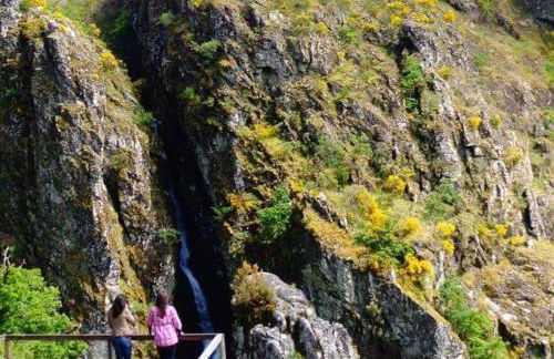 Cantinho Ti Carlos - Foto 8