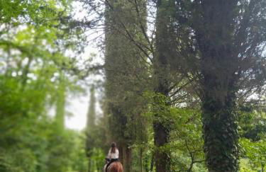 La Casella Antico Feudo di Campagna - Foto 103