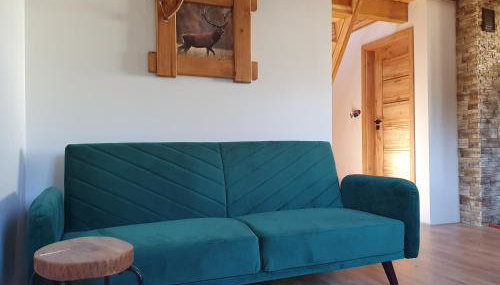 Domek Amelia -Bieszczady - Foto 4