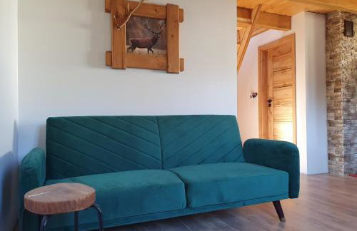 Domek Amelia -Bieszczady - Foto 4