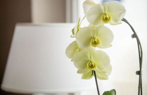 FeWo Paulsen Schobüll - Foto 25