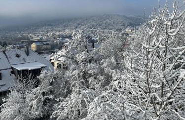 EMI2 Modern Apartment Free Parking Near Swiss Border - Foto 41