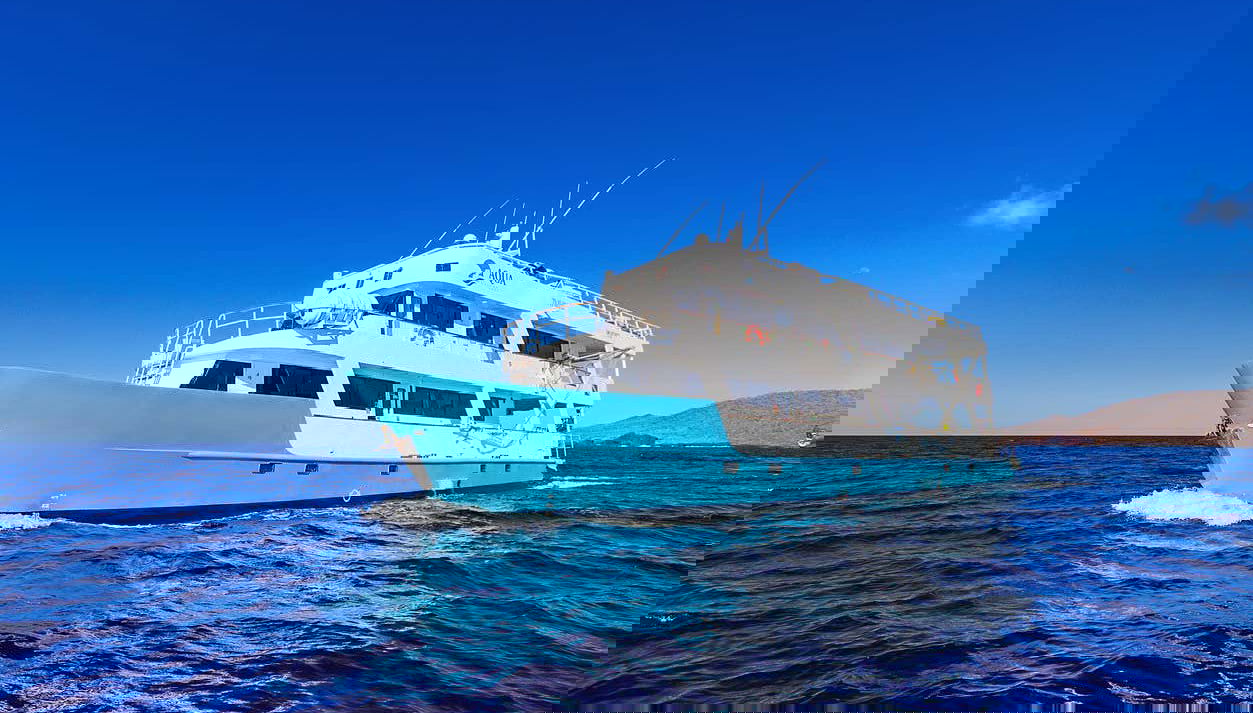 North Galapagos Islands 8-Day Diving Cruise - Foto 1