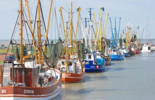 Ferienhaus Kiebitz mit Sauna - Foto 10