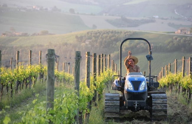 Agriturismo San Michele - Photo 36