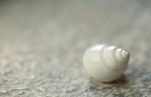 Pserimos Villas - Photo 84