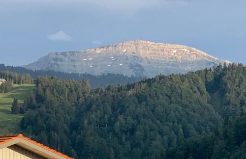 Angelas Ferienwohnungen Oberstaufen - Foto 36