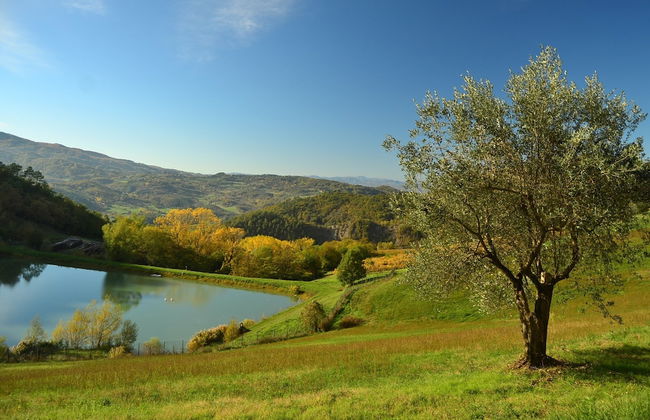 Serene Farmhouse in Dicomano With Swimming Pool - Photo 69