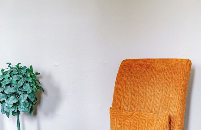 Jungle Casa Dos - Foto 38