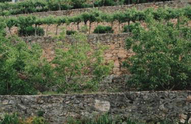 Quinta de Recião - Foto 134