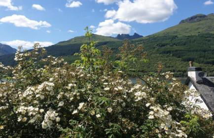 Rowantree Cottage - Foto 31