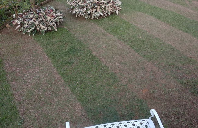 Windsor Forest Bungalow - Photo 28