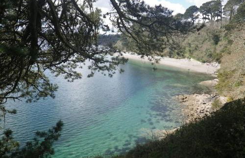 Little Bream - pretty cosy cottage, sea views, walk to the beach - Foto 15