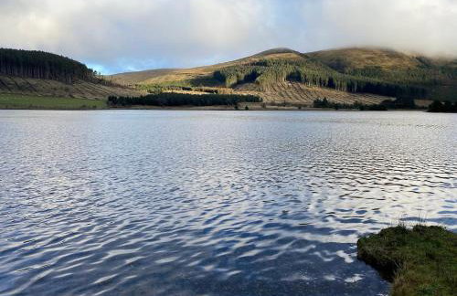 23 The Beeches - Foto 31