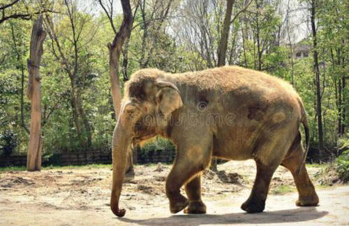 Black Tie Affair - Eloquent Riverfront Experience - Foto 59