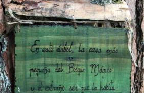 Agradable casa con chimenea y patio totalmente privado - Foto 16