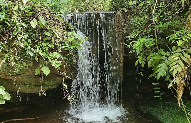 Villagio Matera - São Luiz do Purunã - Photo 64