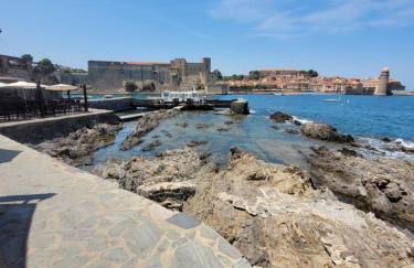 COLLIOURE tres bel appart a 150 metres des plages avec jardin prive et parking dans residence securisee - Foto 21