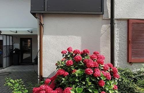 Ferienwohnung Im Fischerhäusle - Foto 20