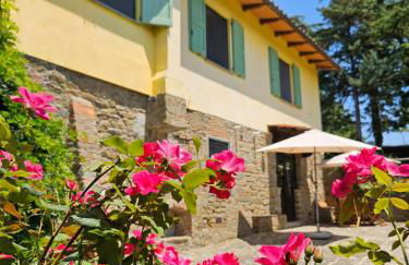 Podere le Muricce - Foto 40