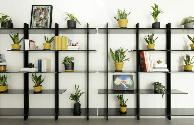 The Y House - Photo 77