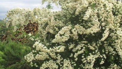 ospitalità rurale la Svizzera 2 - Foto 2